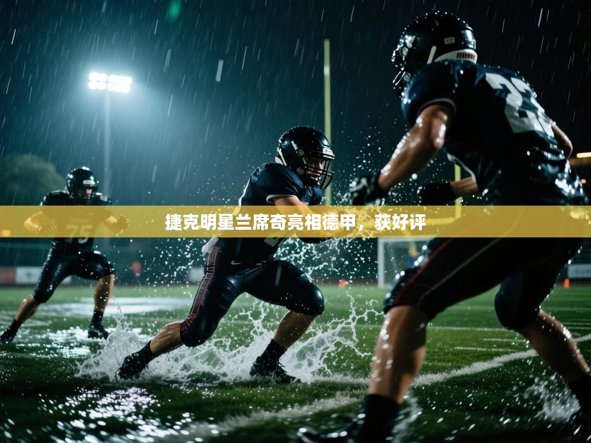 捷克明星兰席奇亮相德甲，获好评  第1张