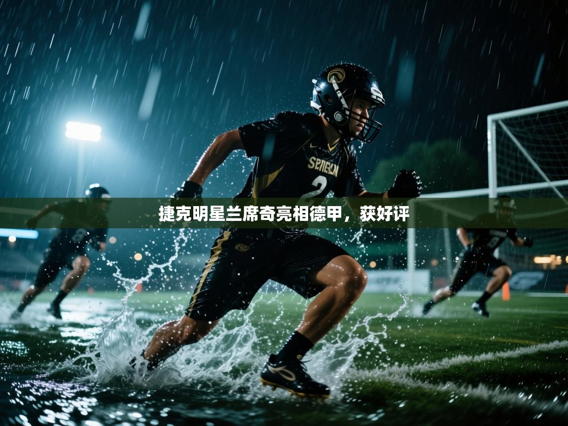 捷克明星兰席奇亮相德甲，获好评  第2张